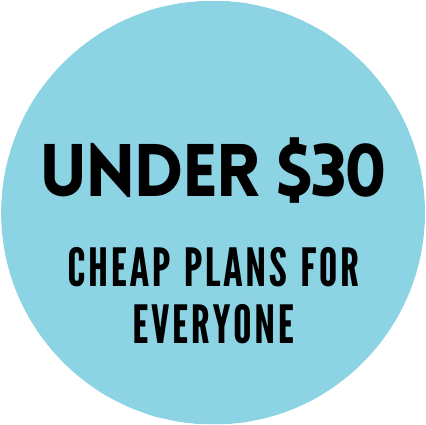 cheap mobile phone plans under $30 
